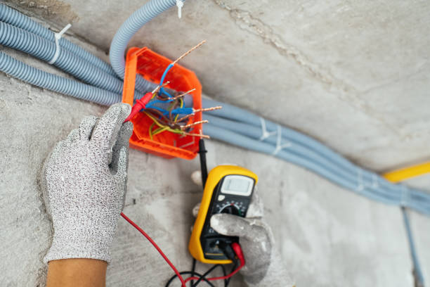 Best Local Electrician Companies  in Piney Mountain, VA